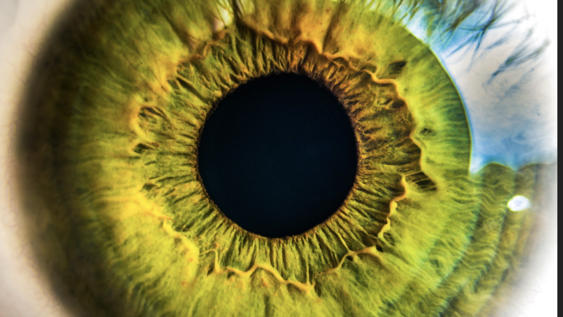 PerceptionFR.002