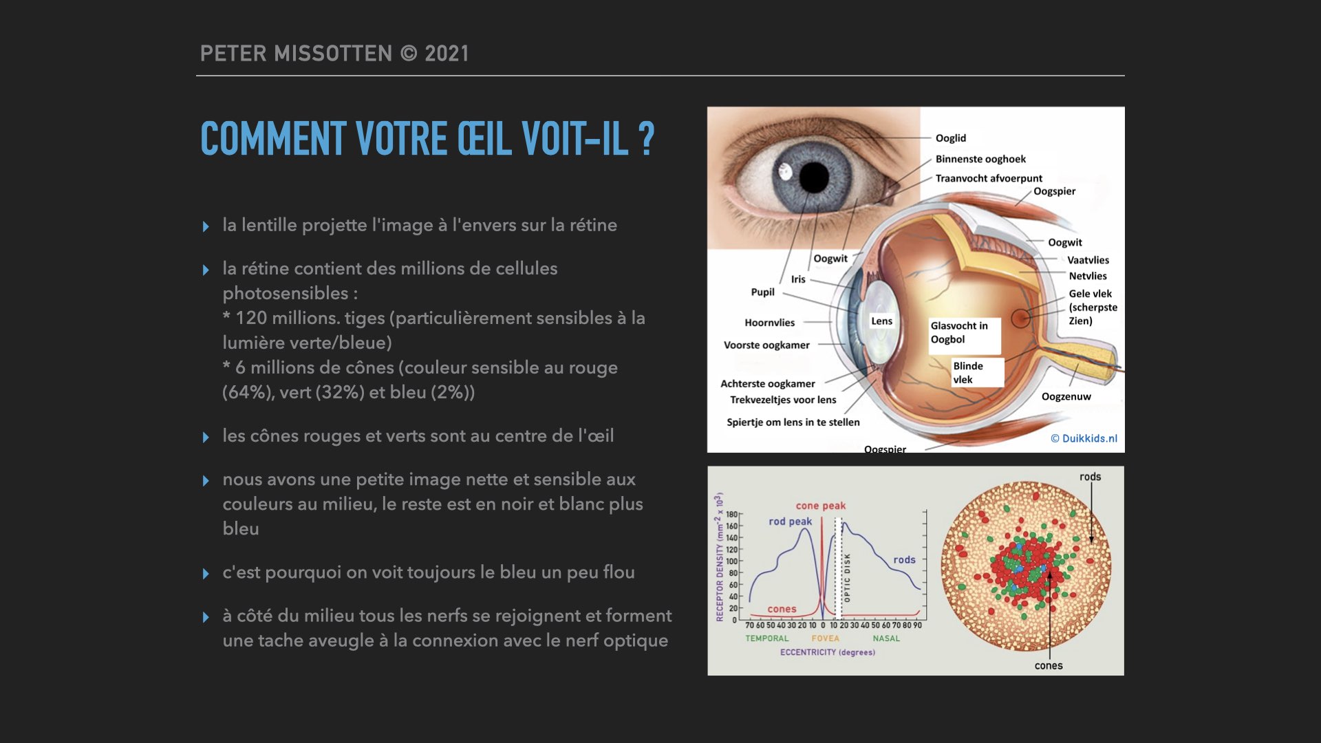 PerceptionFR.003