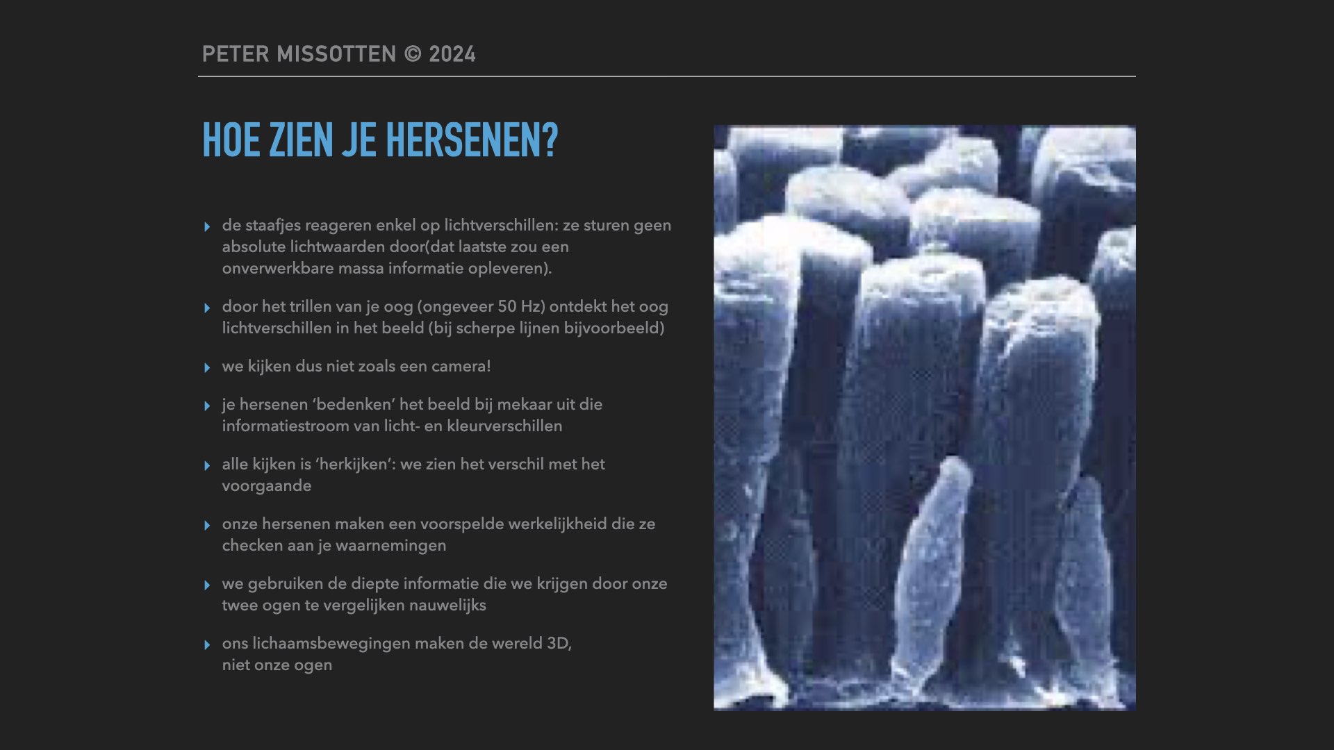 waarneming.008